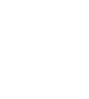 Habilidade 2